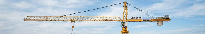 Как выбрать башенный кран для монтажа крупногабаритных металлоконструкций: чек-лист для ГИПа
